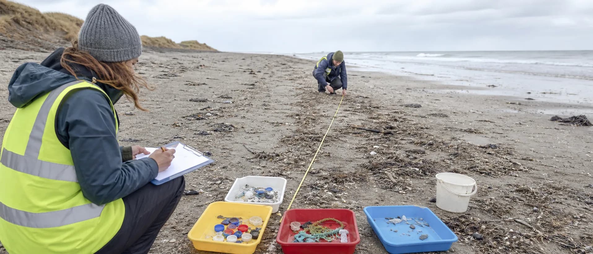 Volunteers measure a shoreline transect and sort small litter into labelled trays.