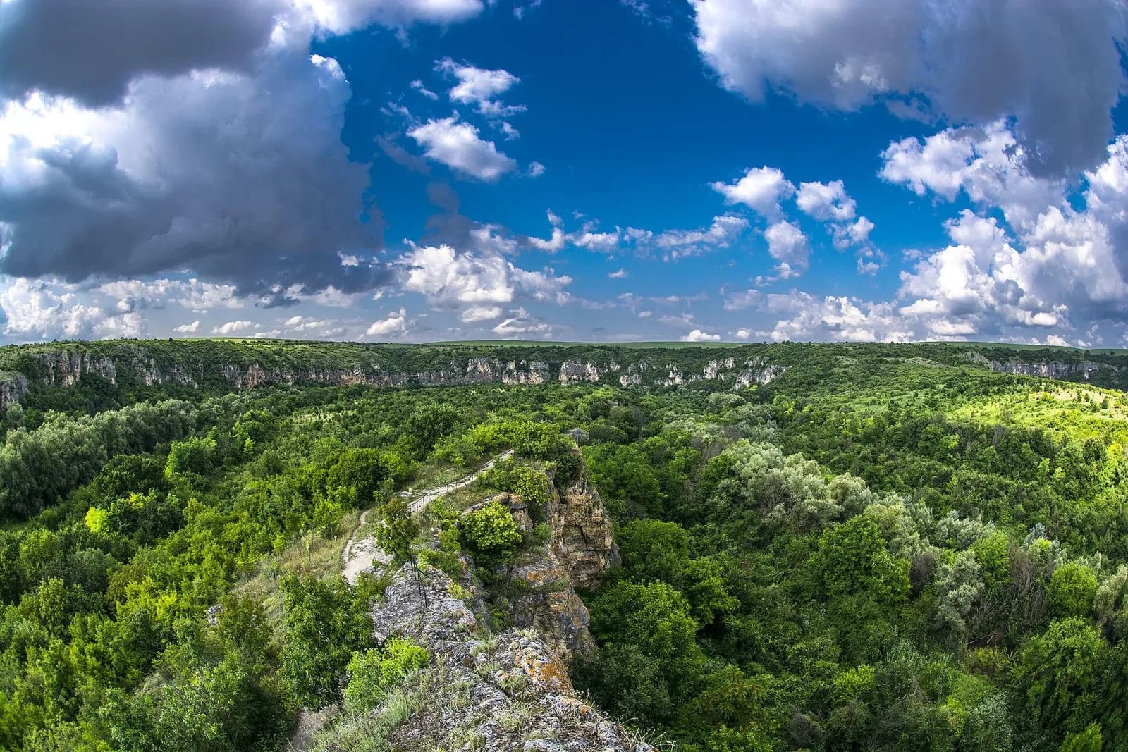 Wooded valleys and pale limestone cliffs in Rusenski Lom Nature Park.