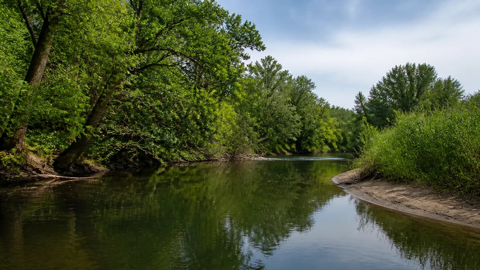 AI-generated illustration of a calm river through Kamchia's floodplain forest