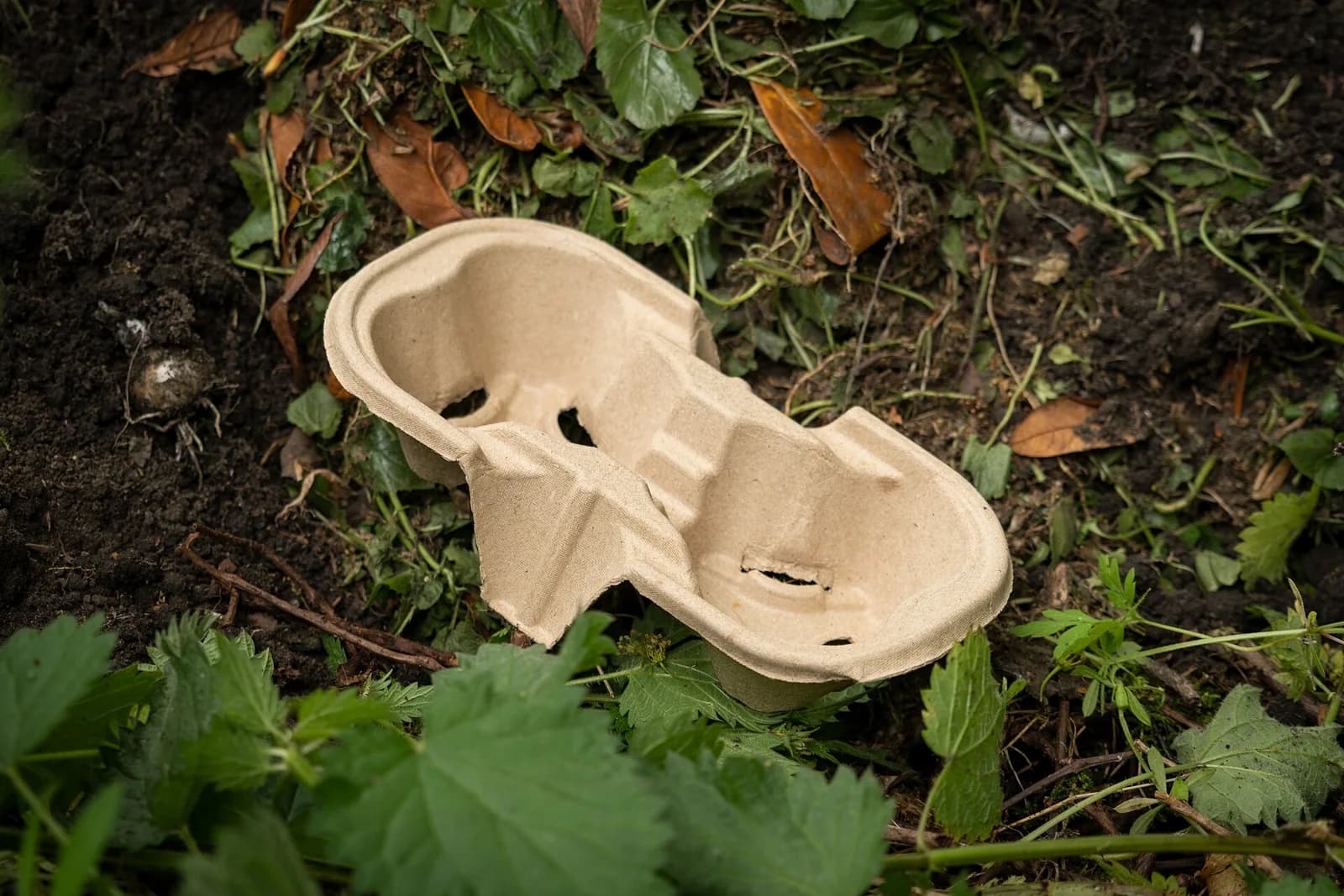 A cardboard drinks carrier lying among green plants on soil