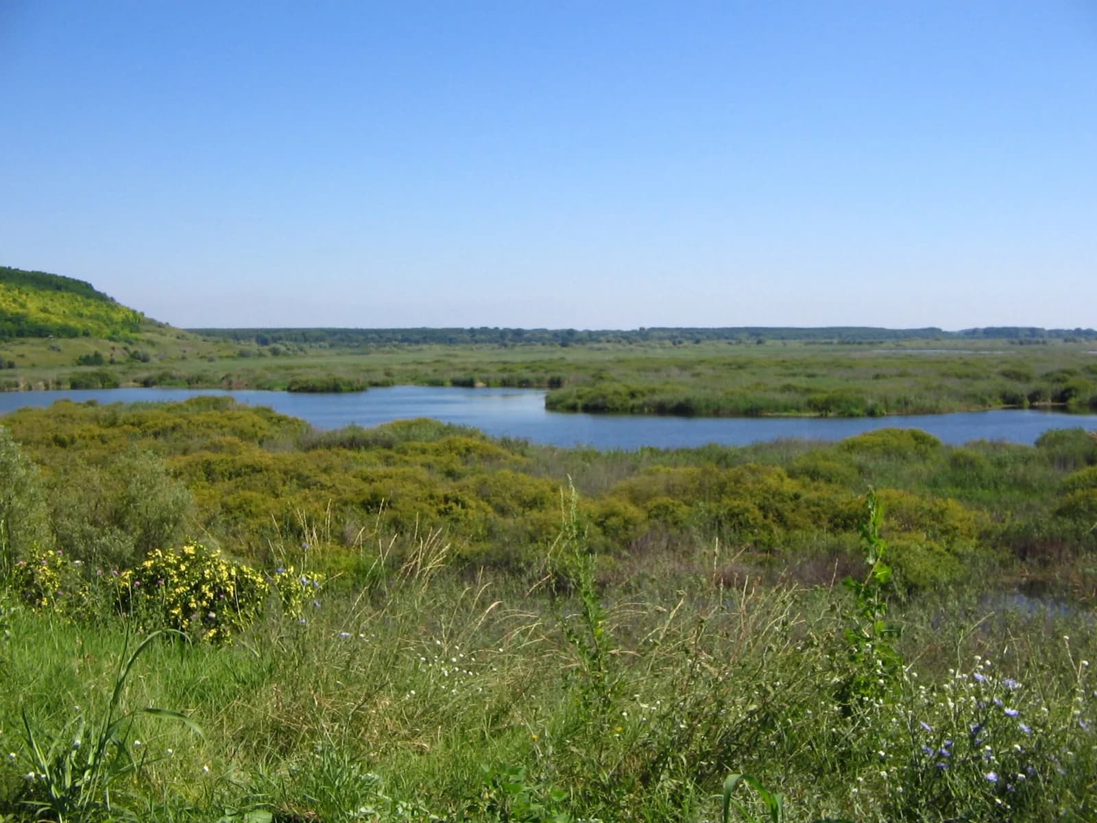 Reeds and open water at Srebarna Lake