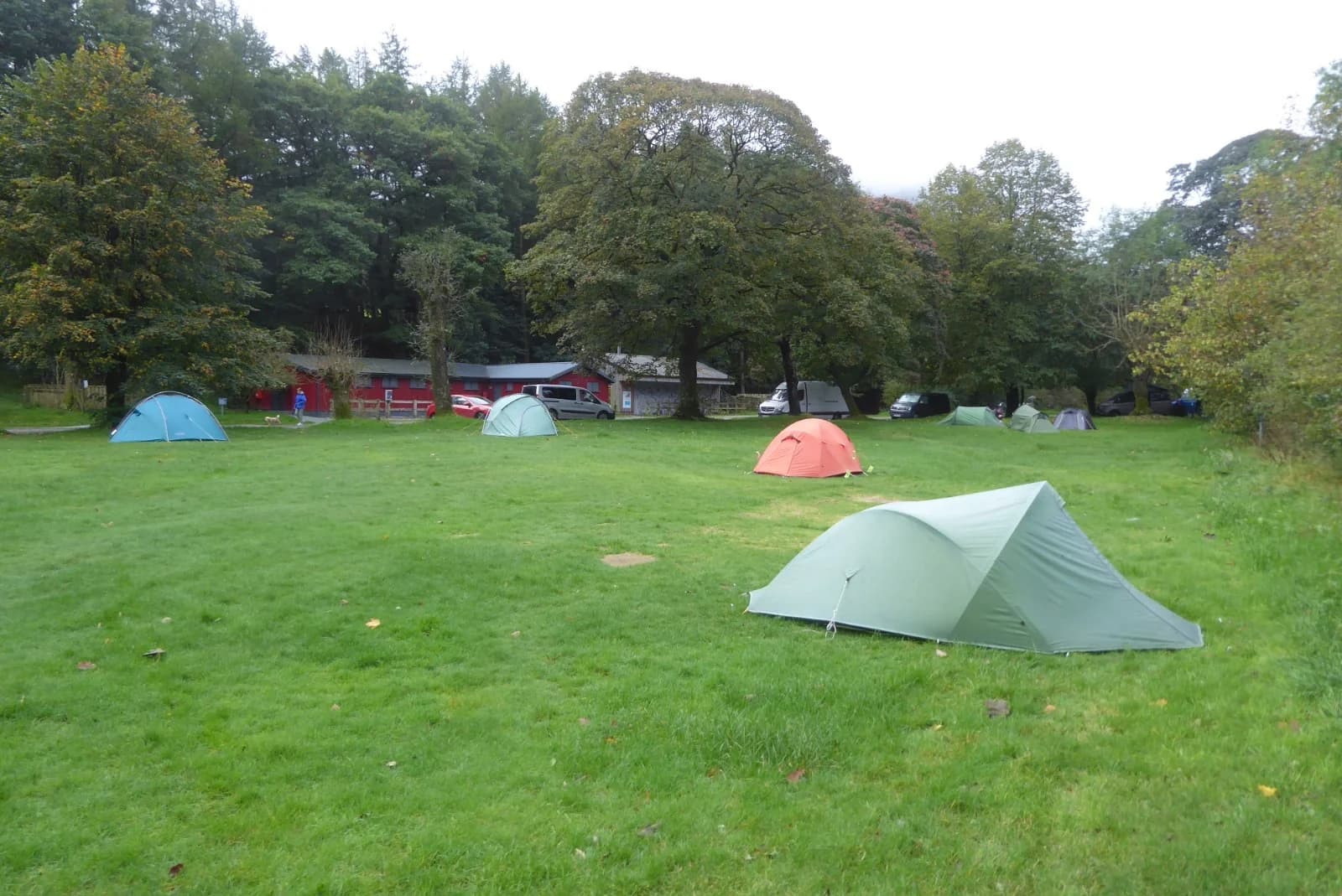 Several tents spread across a grassy field with trees and campsite buildings.