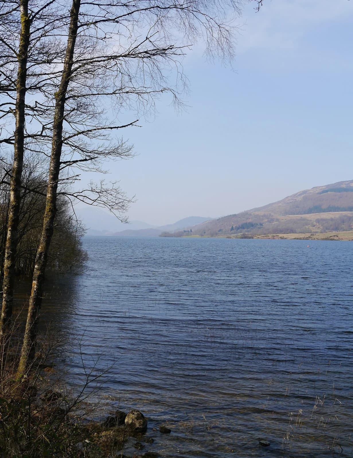 Trees along a narrow shore beside Loch Venachar, with hills across the water.