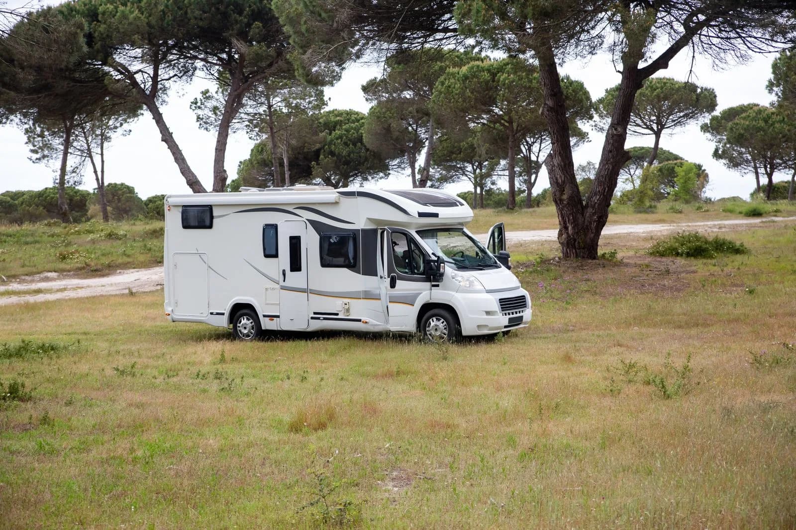 White motorhome parked on grass beneath trees