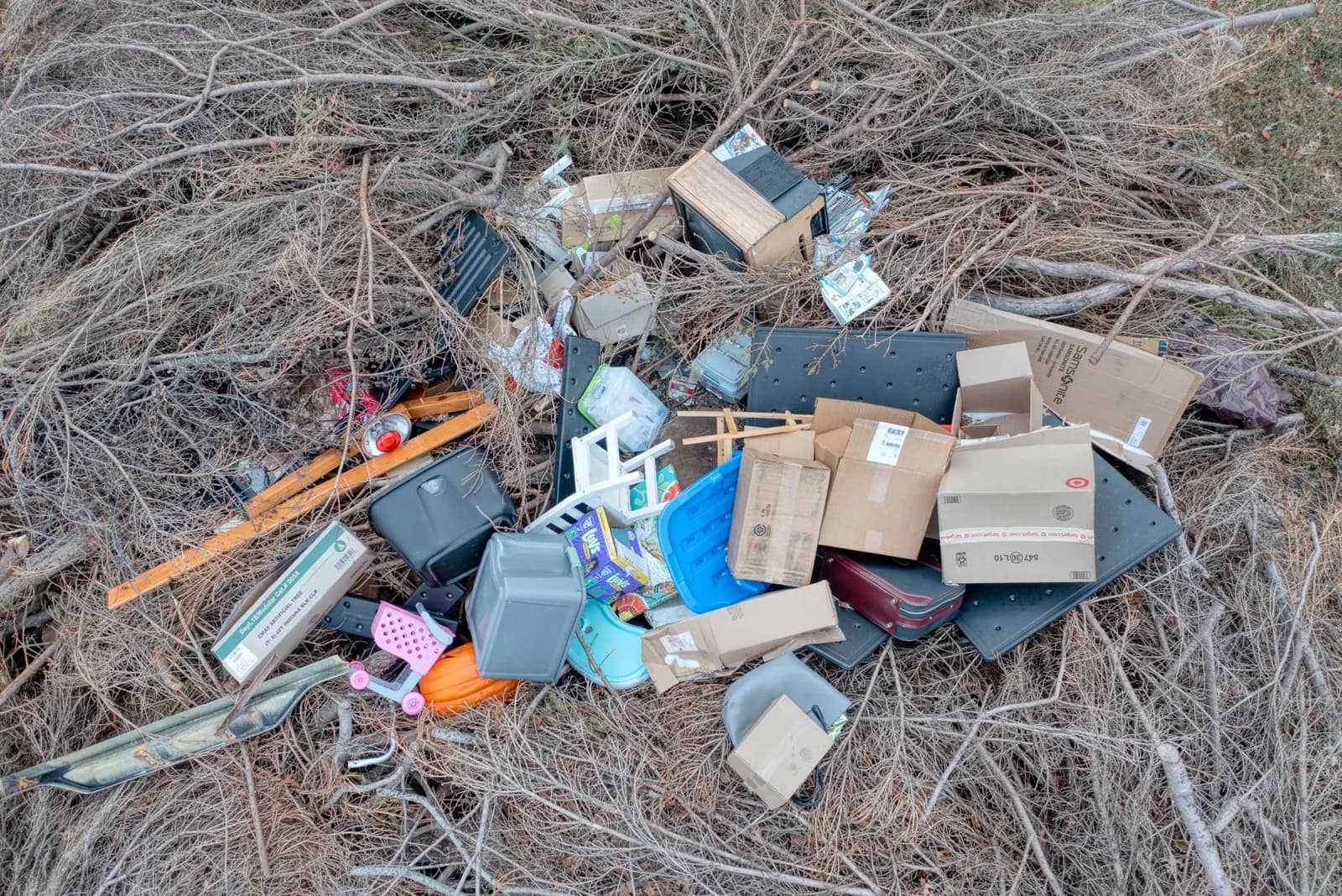 Mixed discarded household items and cardboard among dry branches