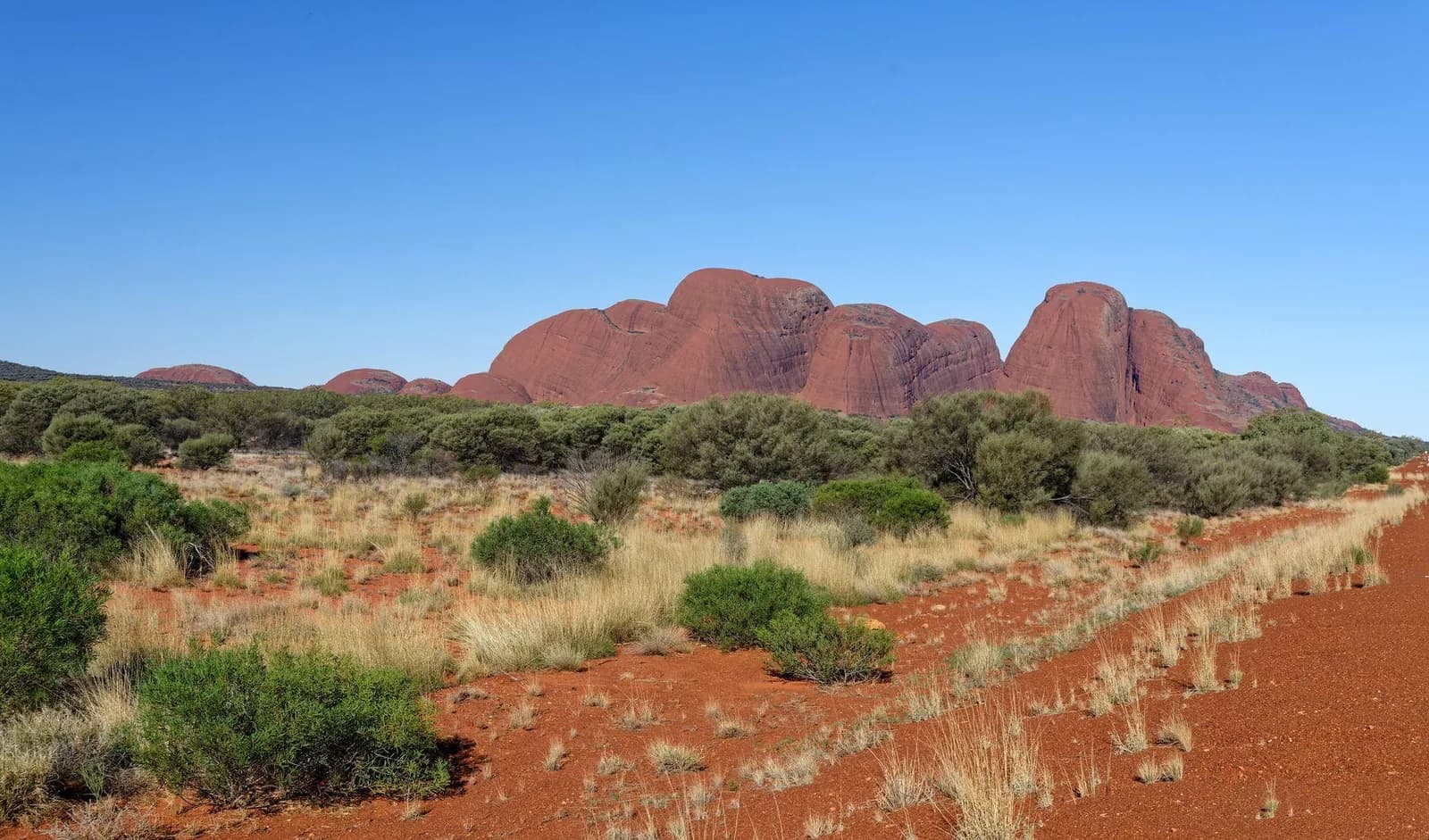 Kata Tjuta’s rounded red rock domes beyond desert scrub under a blue sky.