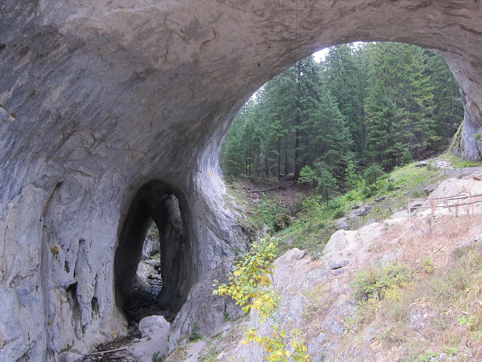 A large natural rock arch and surrounding forest at Wonderful Bridges