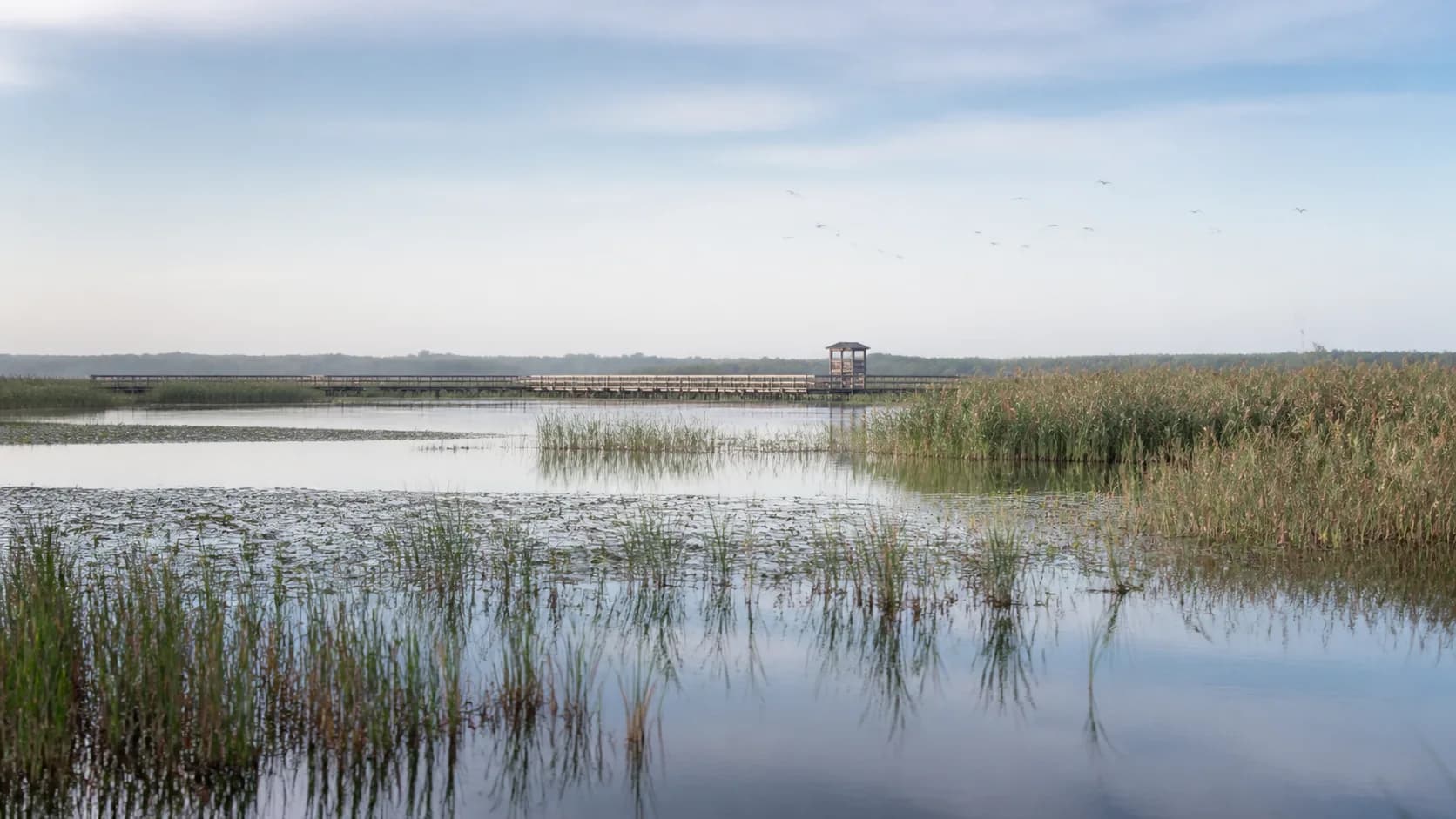 AI-generated illustration of reeds, open water and a distant birdwatching hide at a Danube wetland